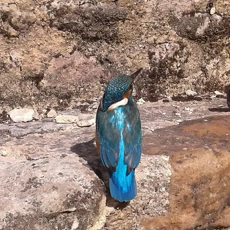 Les 7 Roches 6 Couchages 別荘