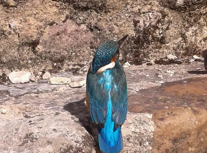 Les 7 Roches 6 Couchages Feriehus