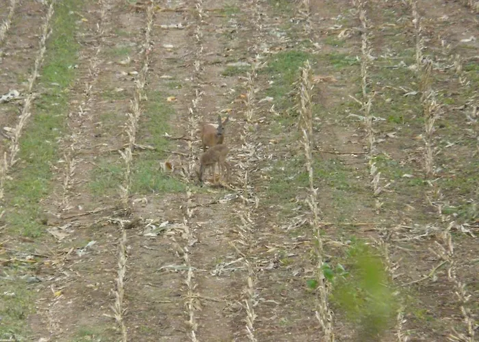 Les 7 Roches 6 Couchages